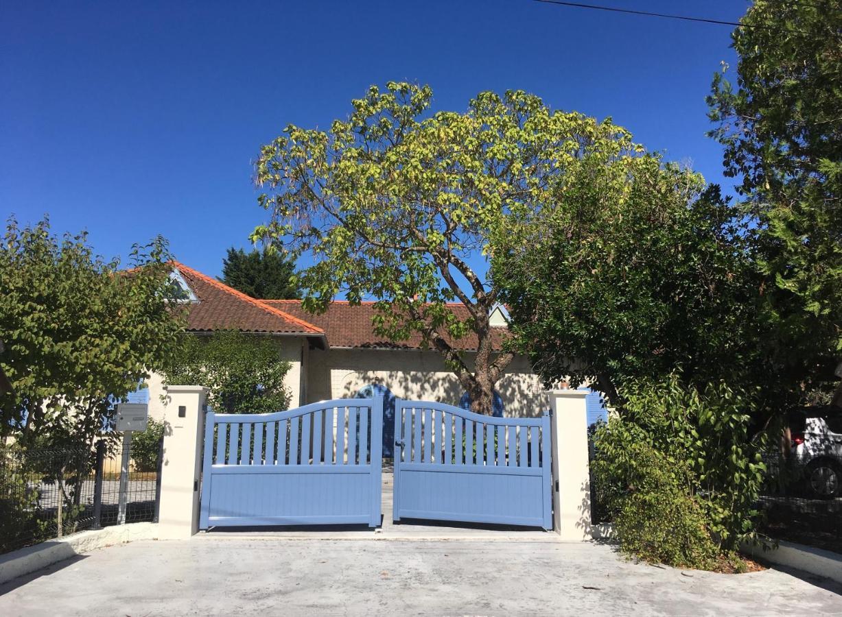 Chambres D'Hote Le Cedre Bleu Saint-Jean  Екстериор снимка